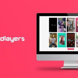 WP Tiktok feed pro