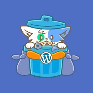 Media cleaner pro